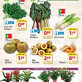 Antevisão folheto ALDI Promoções de 13 a 19  janeiro